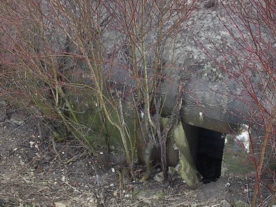 501, Vauxaillon area, Margival