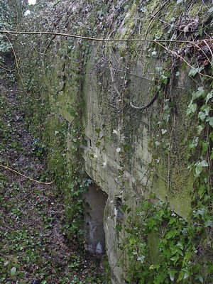 501, Vauxaillon area, Margival