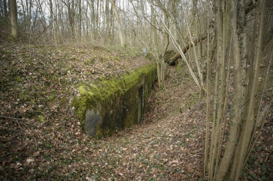 L 410 (Vx 436) of Flakstellung 8. No emplacement on top. (Photo: 2008, Arthur van Beveren)